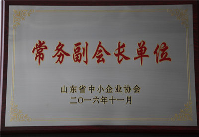 山東省中小企業(yè)協(xié)會常務(wù)副會長單位